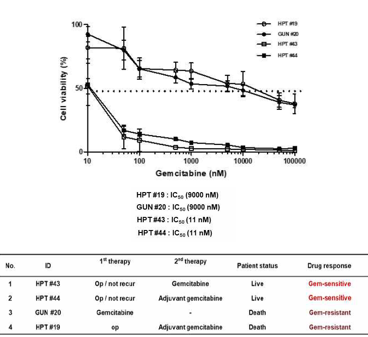 PDX-유래 오가노이드의 약물 반응성과 환자 임상정보와의 연관성 평가. HPT #43, HPT #44 : 젬시타바인-민감성 환자군 및 GUN #20, HPT #19 : 젬시타바인-불감성 환자군