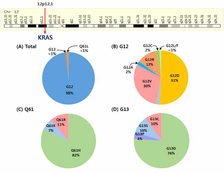 KRAS 위치 및 췌장암의 KRAS 돌연변이 빈도(Bryant et al., Trends Biochem Sci., 2014)