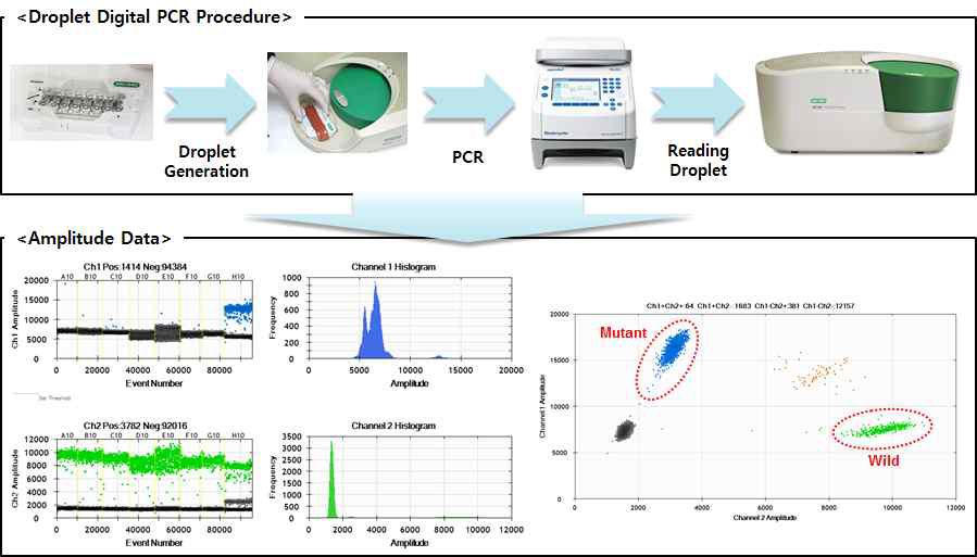 Droplet Digital PCR System의 과정