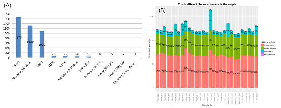 발견된 유전자변이의 annotation별 분포 (A)와 각 샘플별 변이 정도비교 (B)