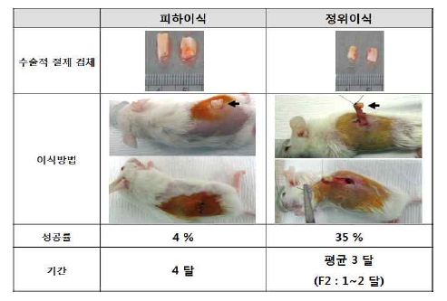 수술 가능 췌장암 환자의 원발성 종양을 이용한 환자유래이종이식모델