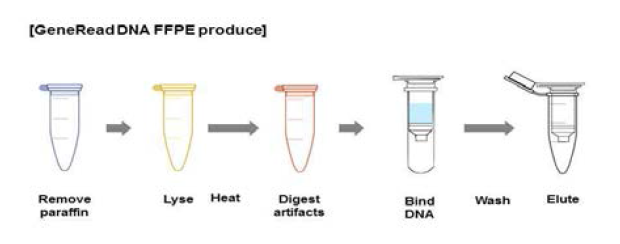 FFPE 샘플로부터 Genomic DNA 분리 프로토콜 (Qiagen #180134)