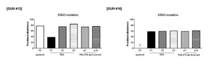 환자 종양(F0), 환자유래이종이식모델(F1, F2, F3) 및 PDX-유래 세포주 (p7, p12)에서 KRAS mutation이 유지된 예 (GUN #13, GUN #16)