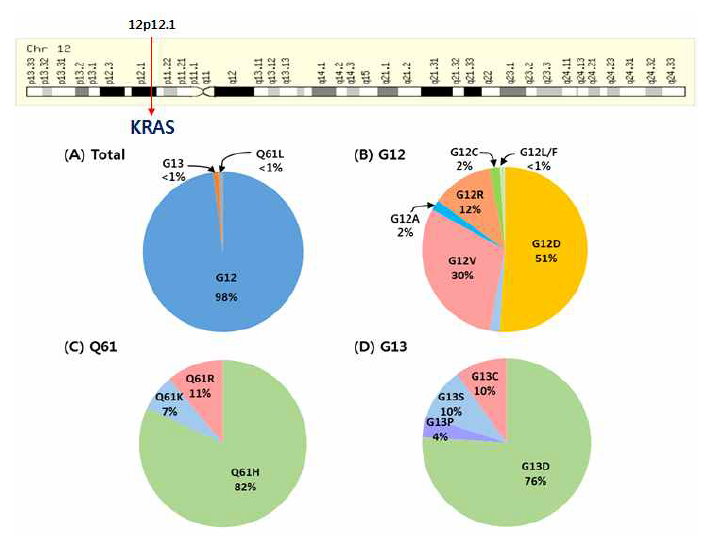 KRAS 위치 및 췌장암의 KRAS 돌연변이 빈도(Bryant et al., Trends Biochem Sci., 2014)