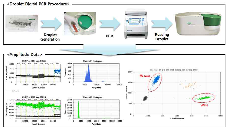 Droplet Digital PCR System의 과정