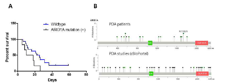 ARIDA 유전자 돌연변이와 임상경과와의 연관성(A)과 cBioPortal에서 나타나는 돌연변이와의 비교(B)