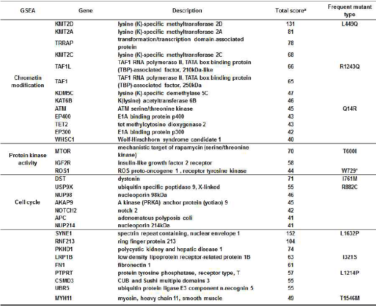 높은 빈도를 보이는 돌연변이 정리