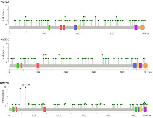 KMT family of genes 돌연변이의 Mutation Mapper로 표시