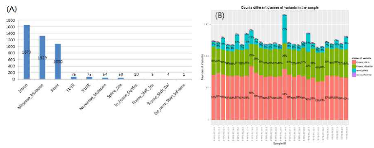 발견된 유전자변이의 annotation별 분포 (A)와 각 샘플별 변이 정도비교 (B)