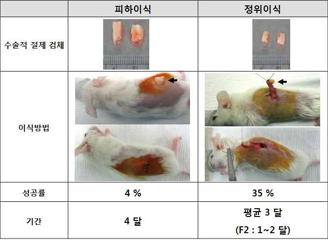 수술 가능 췌장암 환자의 원발성 종양을 이용한 환자유래이종이식모델