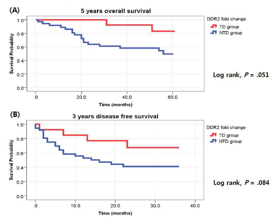 Kaplan-Meier curve: DDR2 expression with 5 years overall survival (A) and 3 years disease free survival (B)