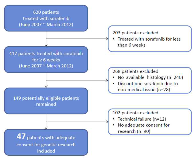 Patient Flow Diagram