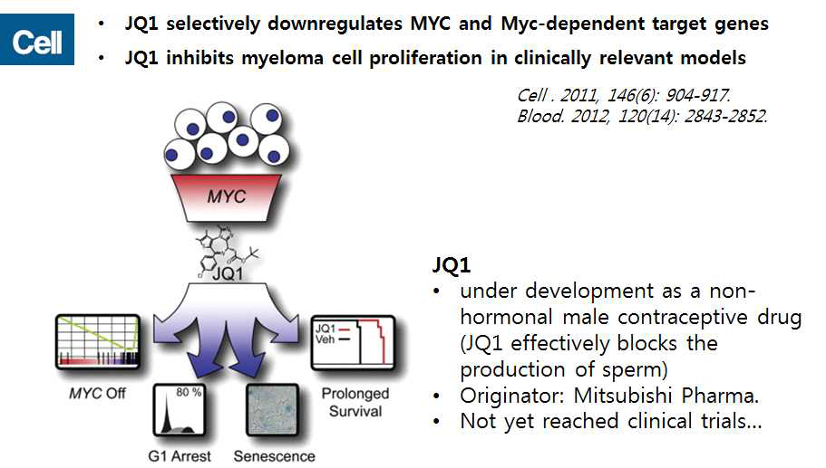 c-Myc 저해제 발굴과 항암제로서 유효성을 입증한 논문