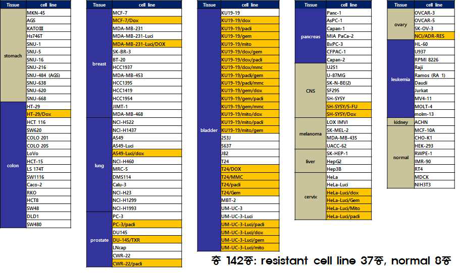효능시험을 진행한 암세포주