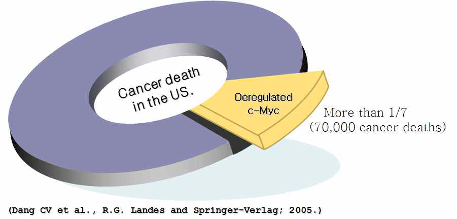 암치료에서 종양 단백질 Myc의 중요성