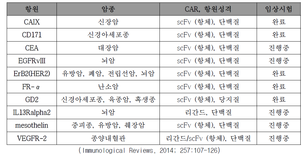 미국에서 고형암의 CAR-T치료제 임상시험 현황