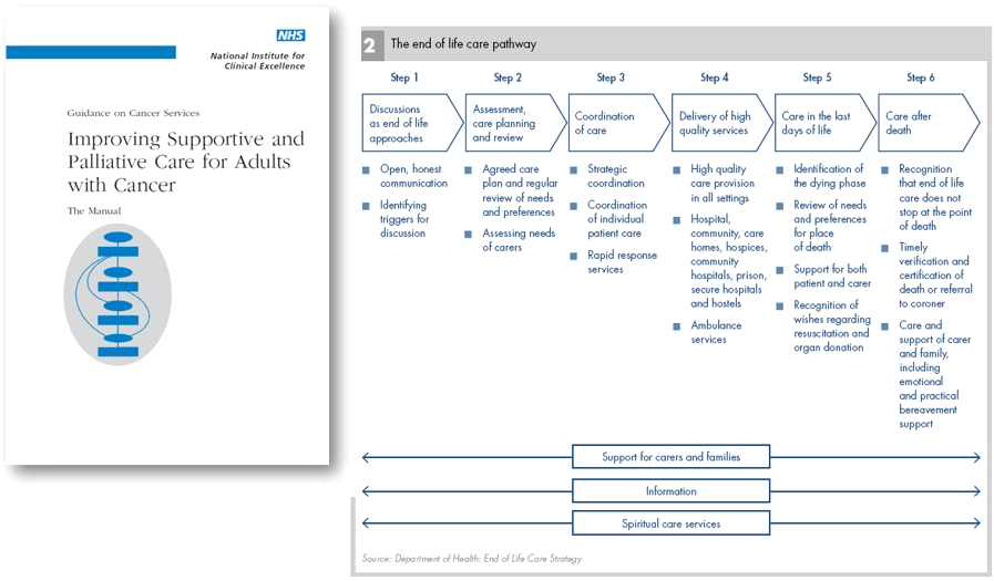 ‘Improving supportive and palliative care for adults with cancer’ The manual