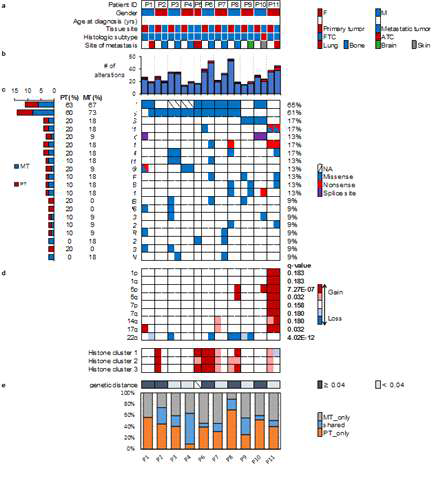 Genomic alteration in metastatic thyroid cancer (manuscript in preparation)