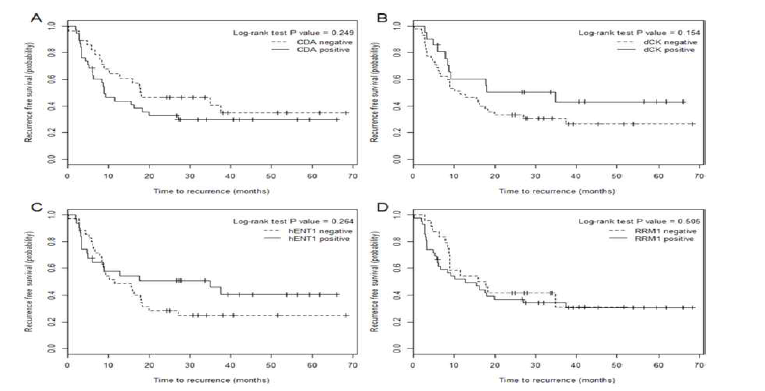 Relationships between recurrence-free survival and intratumoral protein expression CDA (A), dCK (B), hENT1 (C), and RRM1 (D) in biliary tract cancer