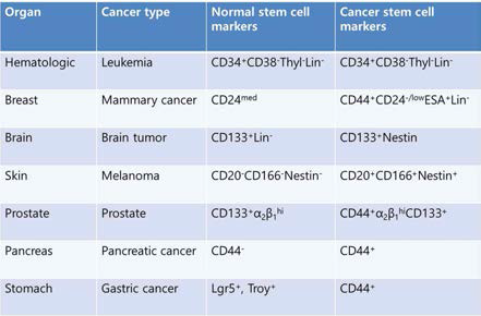 암종에 따른 암줄기세포 표지 유전자