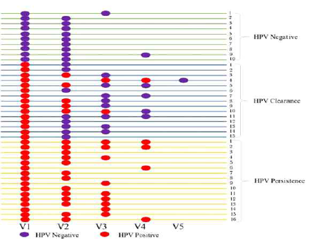 방문 시점에 따른 HPV 상태