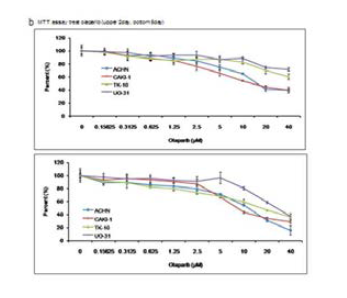 Cell viability assay in CAKI-1, ACHN, UO-31, TK-10 cell lines (renal cell cancer cell lines) treated with olaparib