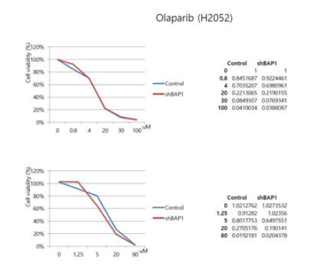 H2052 세포주를 이용하여 olaparib에 대한 cell viability 측정결과