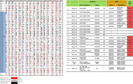 약물 반응성 sensitivity 조사 및 임상 치료 결과와 비교