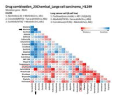 H1299 cell의 combination screening matrix