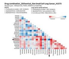 H1573 cell의 combination screening matrix