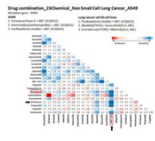 A549 cell의 combination screening matrix