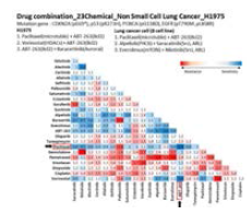 H1975 cell의 combination screening matrix
