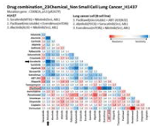 H1437 cell의 combination screening matrix