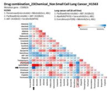 H1563 cell의 combination screening matrix