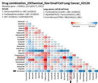 H2126 cell의 combination screening matrix