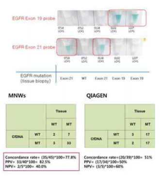 혈장 cfDNA를 이용한 EGFR 변이 검사 예