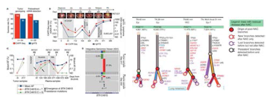 Clonal evolution along with the clinical course A: Sci Transl Med. 2016 Nov 9;8(364):364ra155 B: Nat Med. 2015 Jul;21(7):751-9. doi: 10.1038/nm.3886. Epub 2015 Jun 22