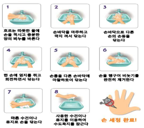 올바른 손 씻기 방법. 자료: 식품의약품안전처, 올바른 손 씻기 실천