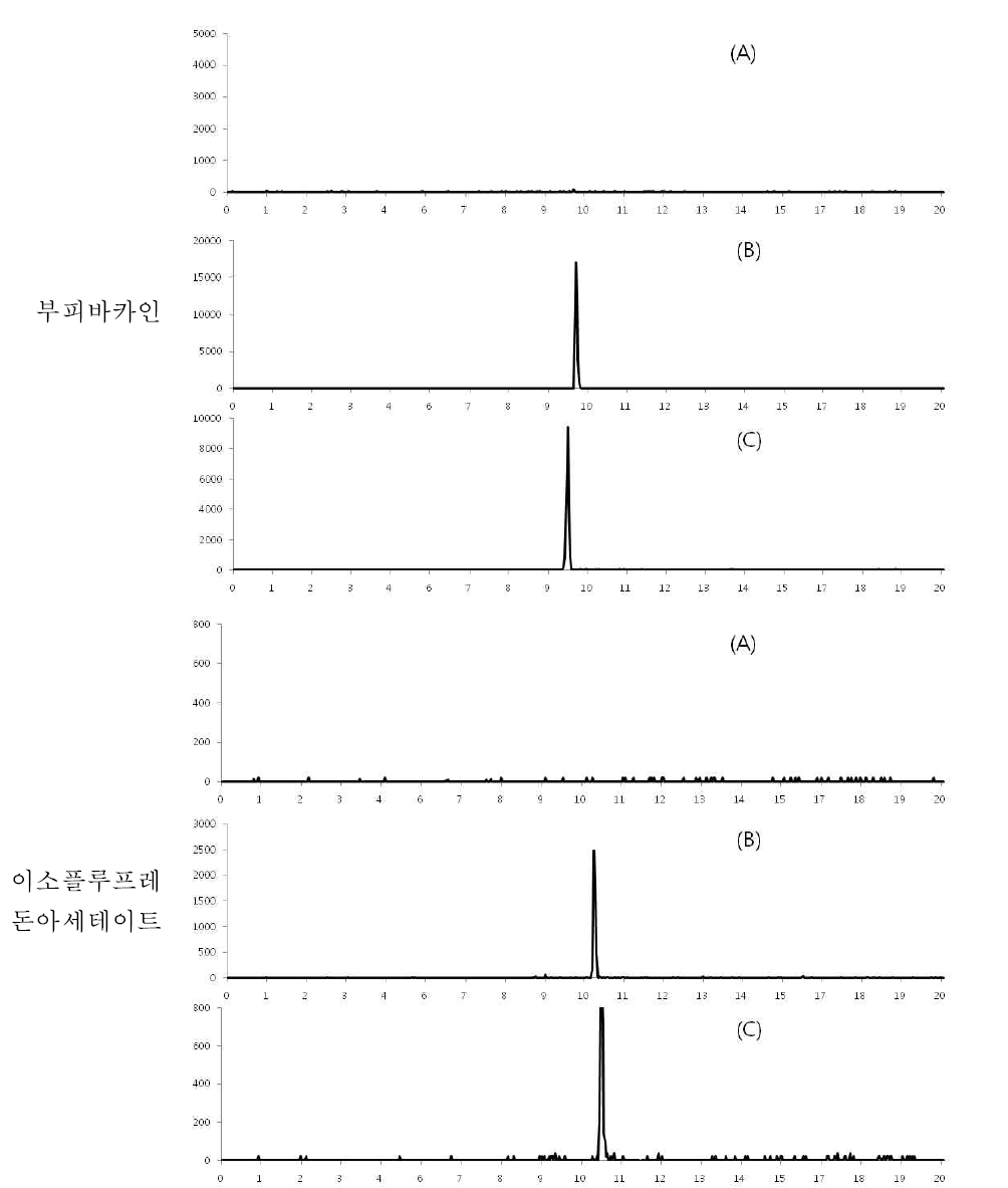 넙치 중 특이성 : blank (A), standard solution (B) spiked sample(C)