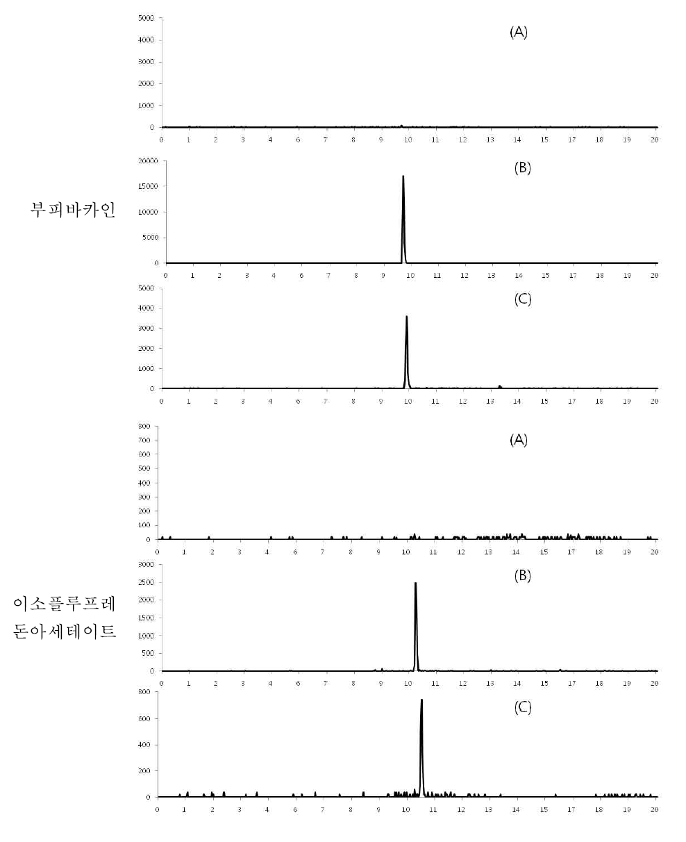 돼지고기 중 특이성 : blank (A), standard solution (B) spiked sample(C)