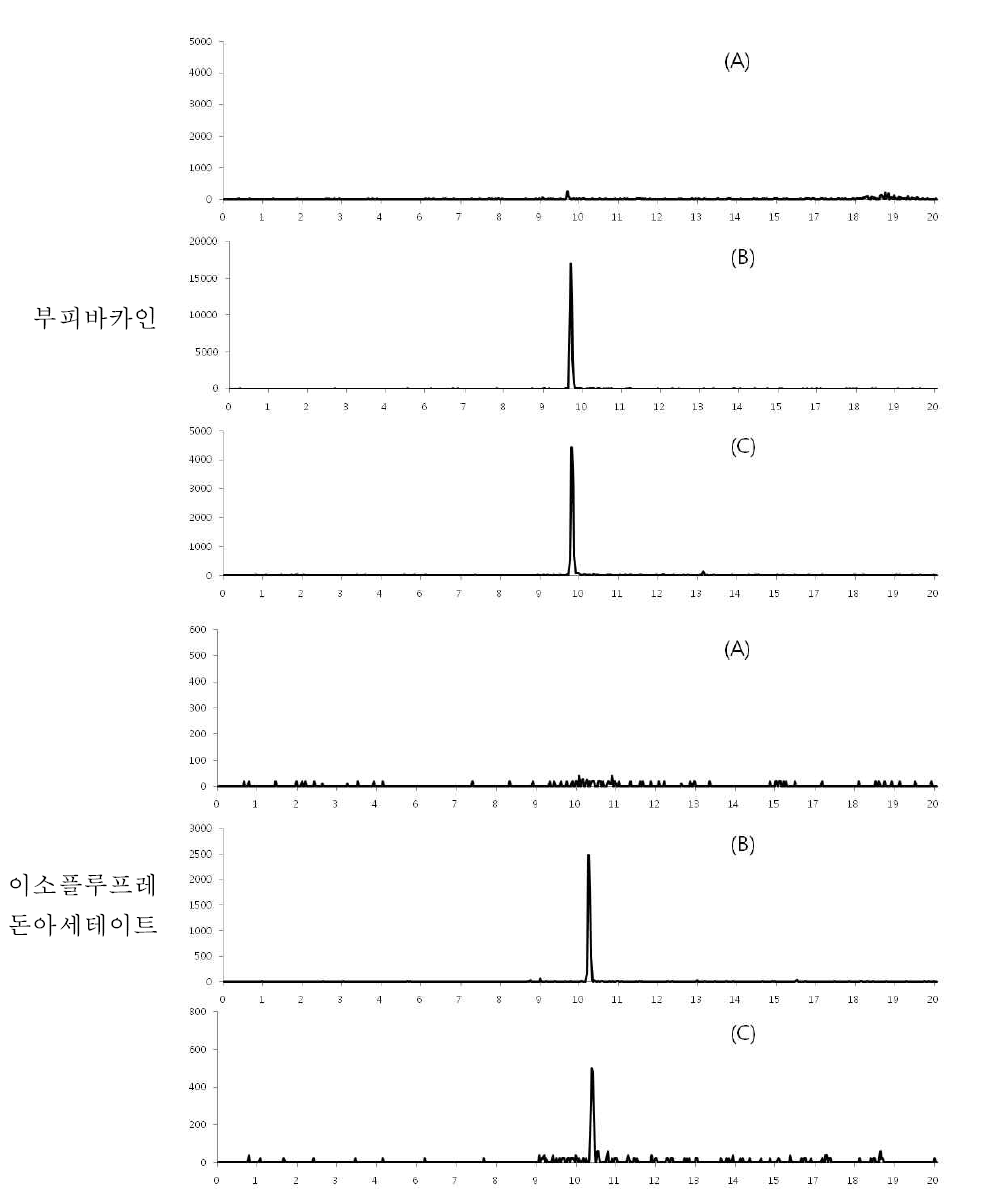 소고기 중 특이성 : blank (A), standard solution (B) spiked sample(C)