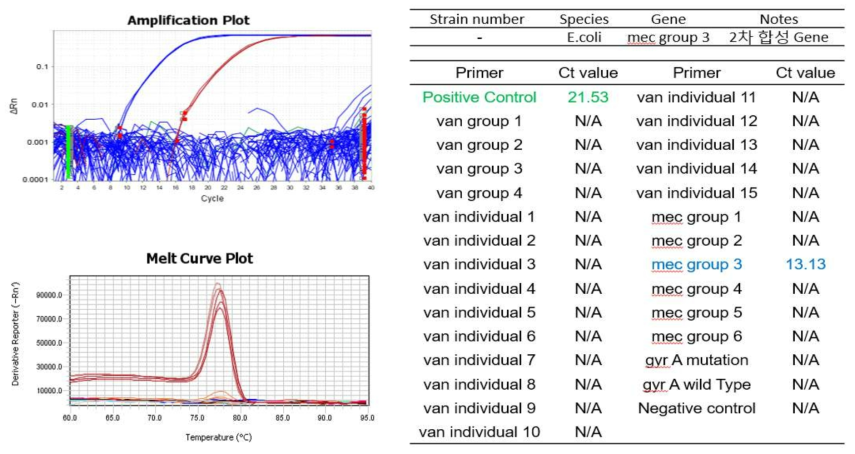 Mec Group3 합성 유전자 적용시험 결과