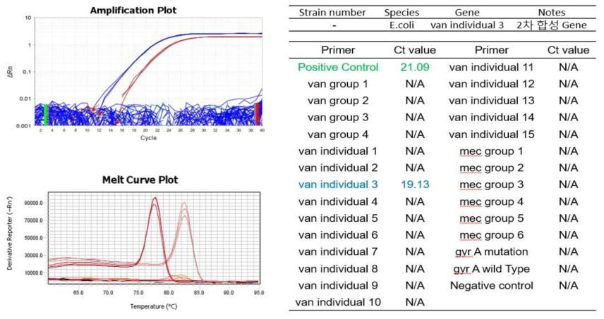 Van Individual3 합성 유전자 적용시험 결과