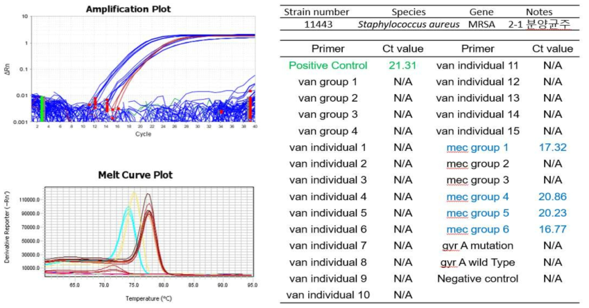 질병관리본부 11443 균주 적용시험 결과