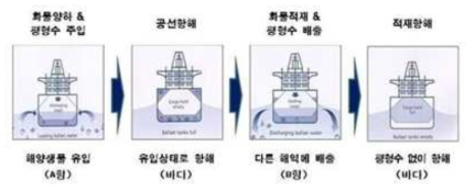 선박평형수에 의한 해양 생물의 이동 및 생태계 교란