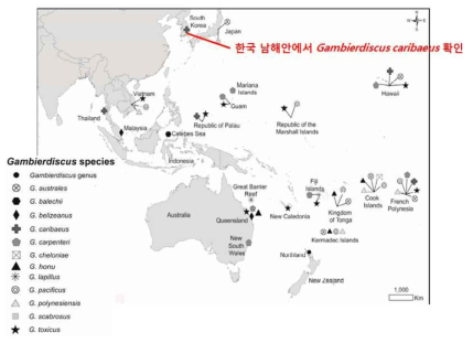 2017년 태평양 해역의 Gambierdiscus 종류별 발생 지역