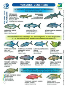 Fish associated about ciguatoxin in France