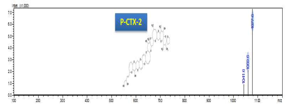 Product ion spectrum of the [M+NH4]+ ion of P-CTX-2 in the positive ion mode