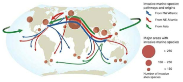해양 환경에서의 침입종 확산의 주요 경로와 출발지 출처: http://www.grida.no/resources/7191