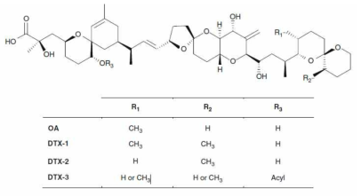 설사성패류독소(DSP)의 표준독소인 okadaic acid와 이성질체인 dinophysystoxin-1 (DTX-1), dinophysystoxin-2 (DTX-2), and dinophysystoxin-3 (DTX-3)의 화학구조 출처: Gopalakrishnakone et al. (2017)